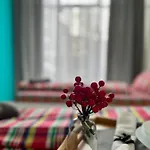 Flower House 4